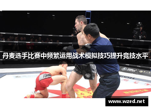 丹麦选手比赛中频繁运用战术模拟技巧提升竞技水平
