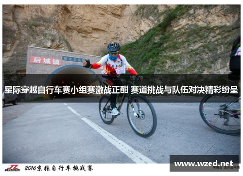 星际穿越自行车赛小组赛激战正酣 赛道挑战与队伍对决精彩纷呈
