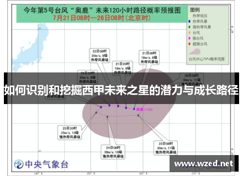 如何识别和挖掘西甲未来之星的潜力与成长路径