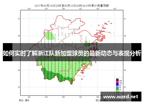 如何实时了解浙江队新加盟球员的最新动态与表现分析