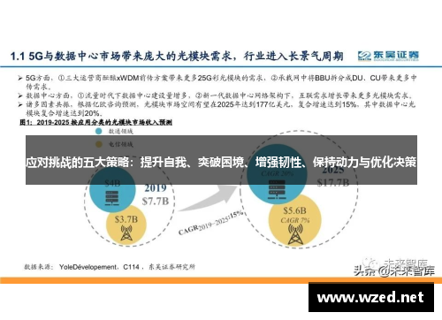 应对挑战的五大策略：提升自我、突破困境、增强韧性、保持动力与优化决策