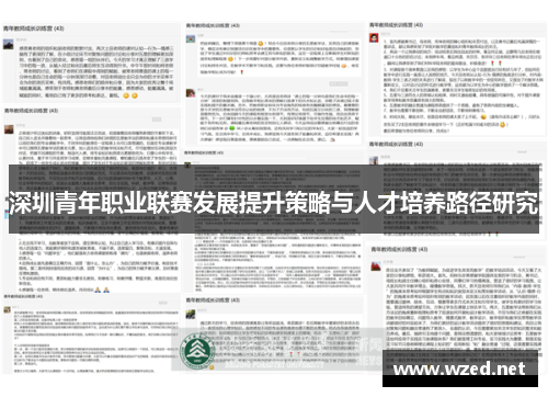 深圳青年职业联赛发展提升策略与人才培养路径研究