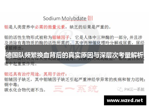 德国队频繁换血背后的真实原因与深层次考量解析 德国队频繁换血背后的真实原因与深层次考量解析